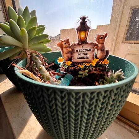 아파트 In Qawra *